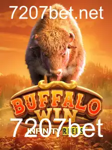 BuffaloWin: Explorando o Universo do Jogo e suas Regras em 7207bet