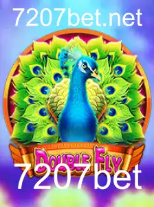 DoubleFly: O Jogo Inovador no Universo da 7207bet